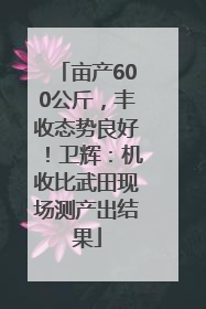 亩产600公斤，丰收态势良好！卫辉：机收比武田现场测产出结果
