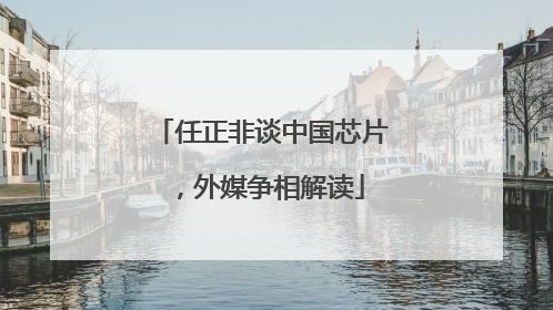 任正非谈中国芯片，外媒争相解读