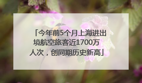今年前5个月上海进出境航空旅客近1700万人次，创同期历史新高