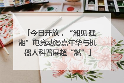 今日开放，“湘见·建湘”电竞动漫嘉年华与机器人科普展超“燃”