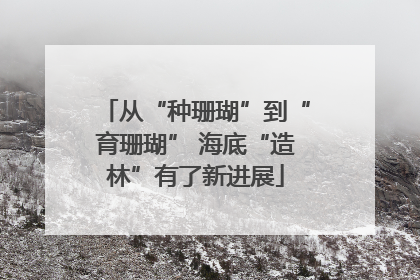 从“种珊瑚”到“育珊瑚” 海底“造林”有了新进展