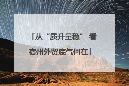 从“质升量稳” 看宿州外贸底气何在