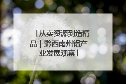从卖资源到造精品｜黔西南州铝产业发展观察