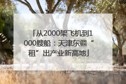 从2000架飞机到1000艘船：天津东疆“租”出产业新高地