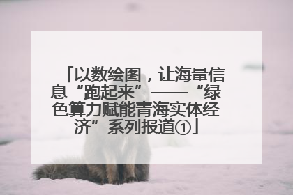 以数绘图，让海量信息“跑起来”——“绿色算力赋能青海实体经济”系列报道①