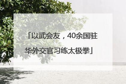 以武会友，40余国驻华外交官习练太极拳