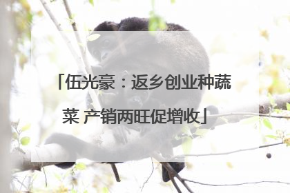 伍光豪：返乡创业种蔬菜 产销两旺促增收