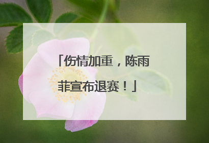 伤情加重，陈雨菲宣布退赛！