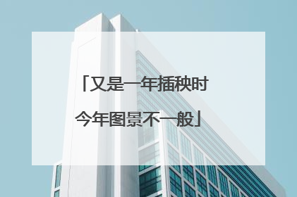 又是一年插秧时 今年图景不一般