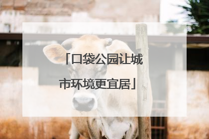 口袋公园让城市环境更宜居