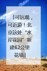 可远观，可近游！北京这处“水岸花园”新建62公里花墙