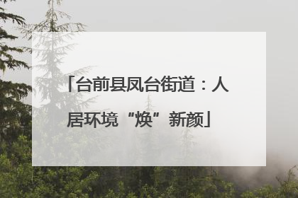 台前县凤台街道：人居环境“焕”新颜