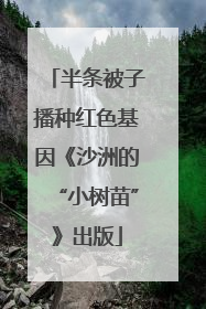 半条被子播种红色基因《沙洲的“小树苗”》出版