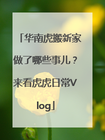 华南虎搬新家做了哪些事儿？来看虎虎日常Vlog