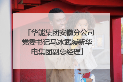华能集团安徽分公司党委书记马冰武履新华电集团副总经理