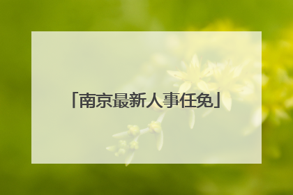 南京最新人事任免