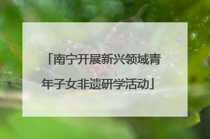 南宁开展新兴领域青年子女非遗研学活动