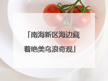 南海新区海边藏着绝美鸟浪奇观
