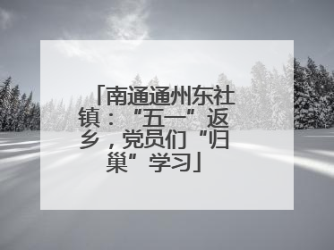 南通通州东社镇：“五一”返乡，党员们“归巢”学习