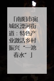 南阳市宛城区溧河街道：特色产业激活乡村振兴“一池春水”