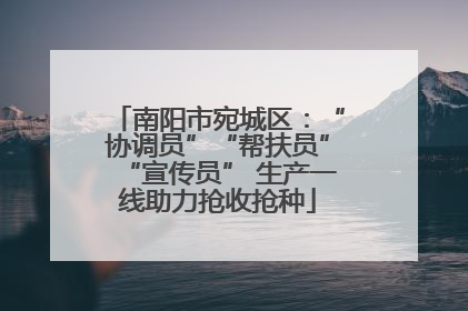 南阳市宛城区：“协调员”“帮扶员”“宣传员” 生产一线助力抢收抢种