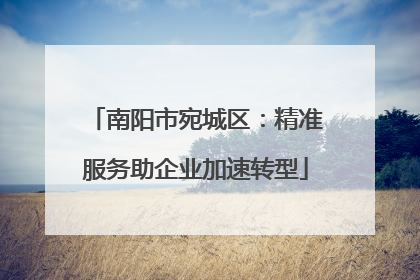 南阳市宛城区：精准服务助企业加速转型