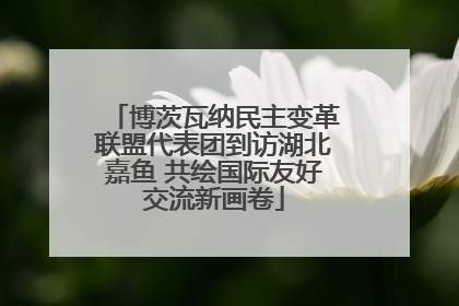 博茨瓦纳民主变革联盟代表团到访湖北嘉鱼 共绘国际友好交流新画卷
