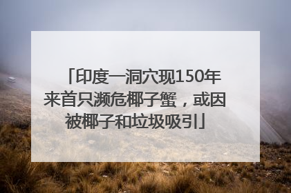 印度一洞穴现150年来首只濒危椰子蟹，或因被椰子和垃圾吸引