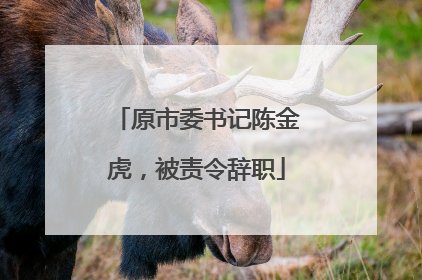 原市委书记陈金虎，被责令辞职