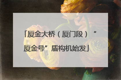 厦金大桥（厦门段）“厦金号”盾构机始发