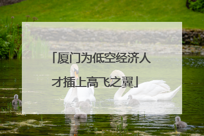 厦门为低空经济人才插上高飞之翼