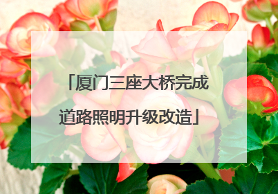 厦门三座大桥完成道路照明升级改造