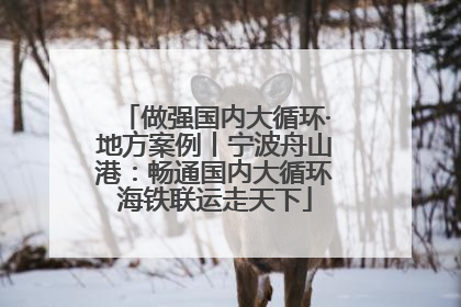 做强国内大循环·地方案例丨宁波舟山港：畅通国内大循环海铁联运走天下