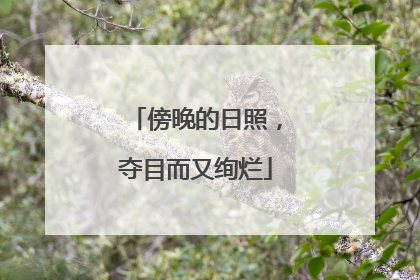 傍晚的日照，夺目而又绚烂