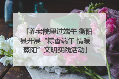 养老院里过端午 衡阳县开展“粽香端午 情暖蒸阳”文明实践活动