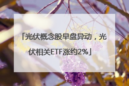 光伏概念股早盘异动，光伏相关ETF涨约2%