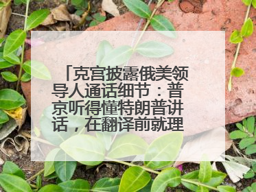 克宫披露俄美领导人通话细节：普京听得懂特朗普讲话，在翻译前就理解了他的意思