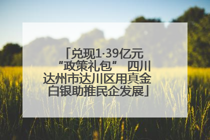 兑现1·39亿元“政策礼包” 四川达州市达川区用真金白银助推民企发展