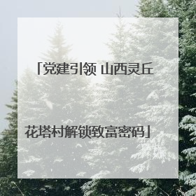 党建引领 山西灵丘花塔村解锁致富密码