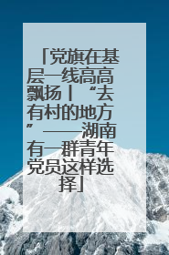 党旗在基层一线高高飘扬丨“去有村的地方”——湖南有一群青年党员这样选择