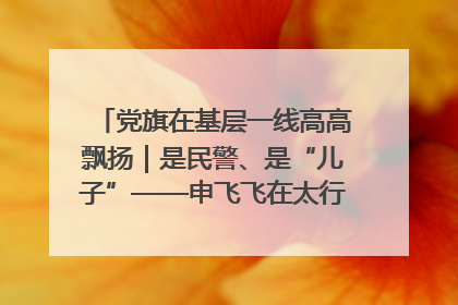 党旗在基层一线高高飘扬｜是民警、是“儿子”——申飞飞在太行山中的一线坚守