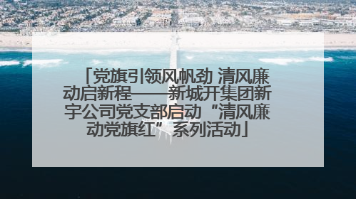 党旗引领风帆劲 清风廉动启新程——新城开集团新宇公司党支部启动“清风廉动党旗红”系列活动
