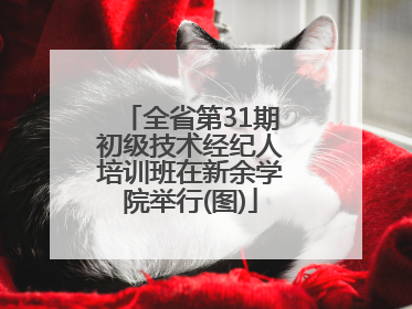 全省第31期初级技术经纪人培训班在新余学院举行(图)