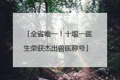 全省唯一！十堰一医生荣获杰出兽医称号