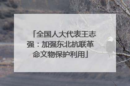 全国人大代表王志强：加强东北抗联革命文物保护利用