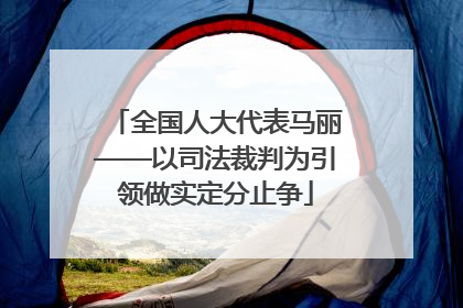 全国人大代表马丽——以司法裁判为引领做实定分止争