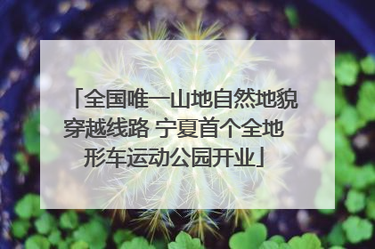 全国唯一山地自然地貌穿越线路 宁夏首个全地形车运动公园开业