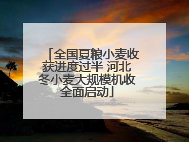 全国夏粮小麦收获进度过半 河北冬小麦大规模机收全面启动