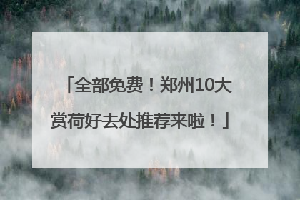 全部免费！郑州10大赏荷好去处推荐来啦！