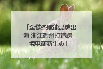 全链条赋能品牌出海 浙江衢州打造跨境电商新生态